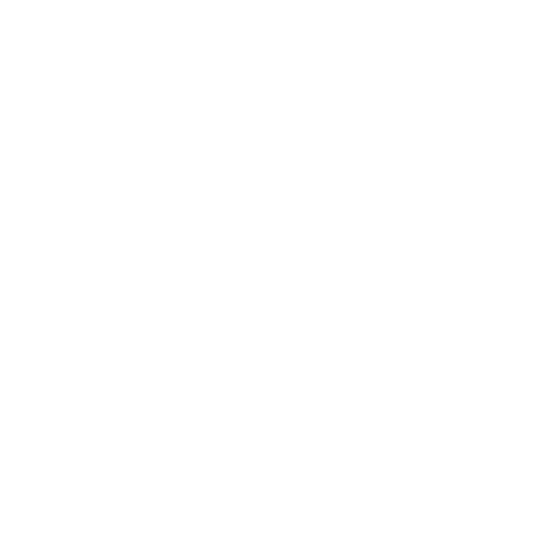 VVS Fagmann - logo