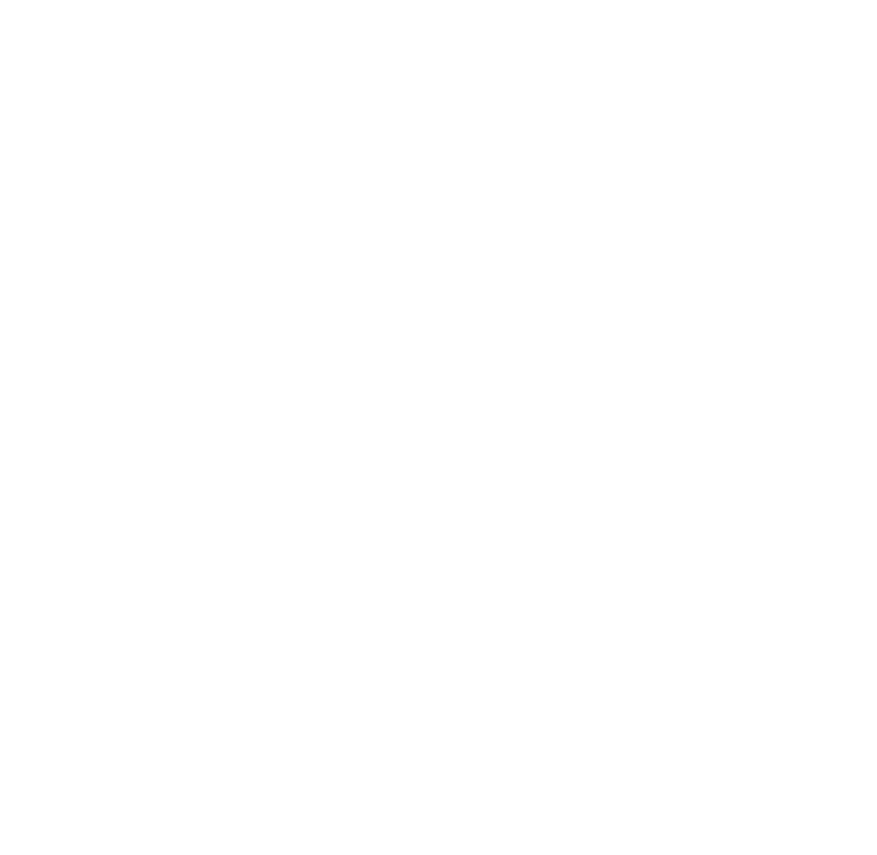 VVS Fagmann - logo